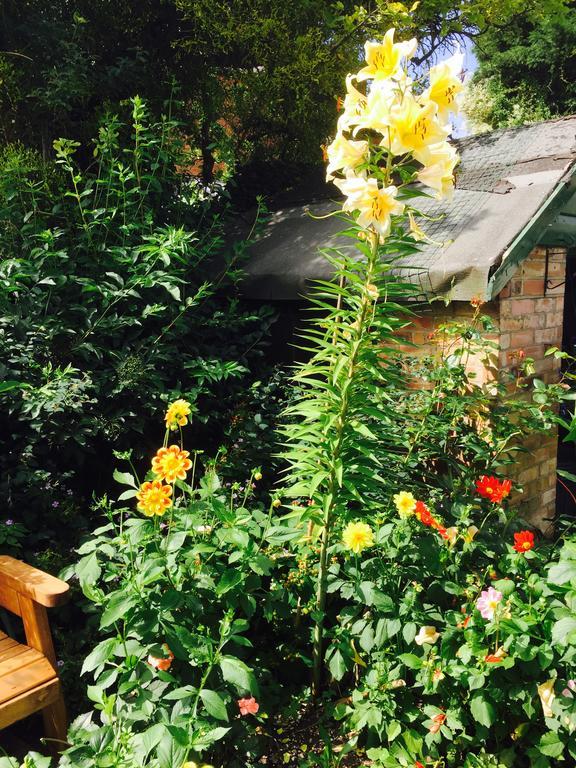 Fairlight Lodge King's Lynn Bagian luar foto