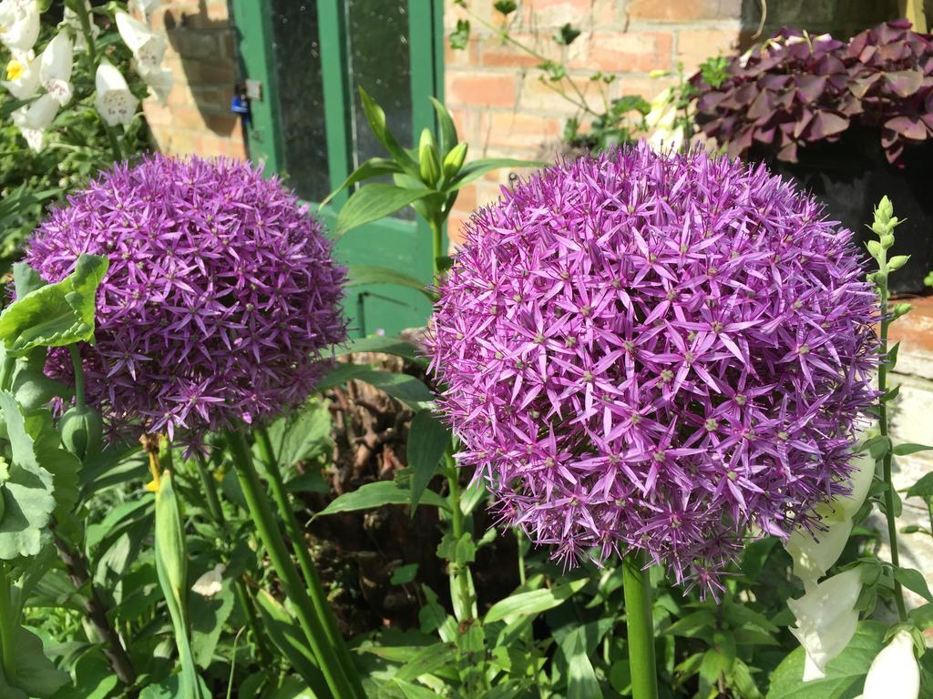 Fairlight Lodge King's Lynn Bagian luar foto